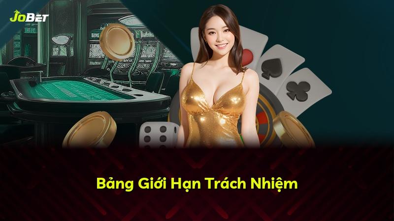 Bảng Giới Hạn Trách Nhiệm