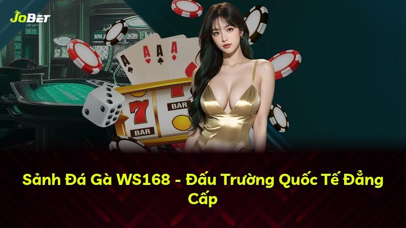 Sảnh Đá Gà WS168 - Đấu Trường Quốc Tế Đẳng Cấp