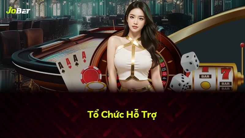 Tổ Chức Hỗ Trợ